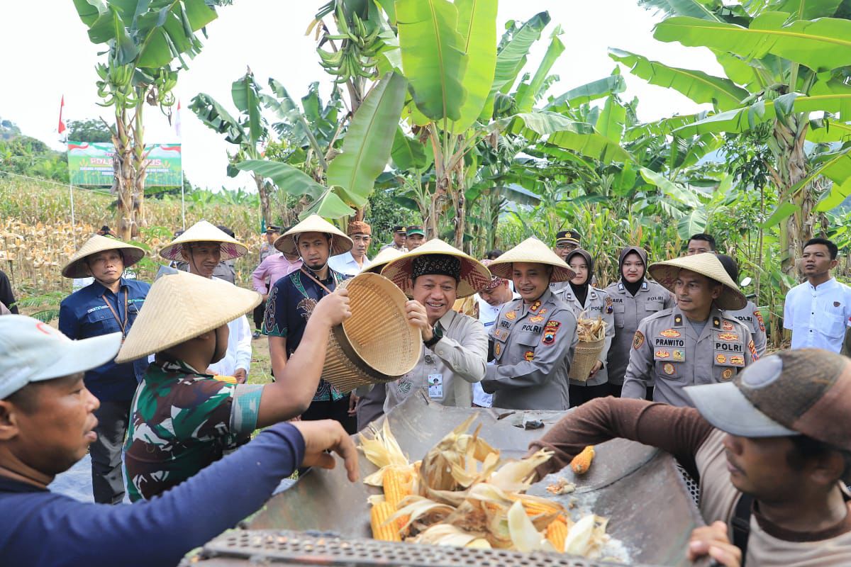 Panen Raya Jagung, Kapolres Kudus Optimis Optimis Swasembada Pangan